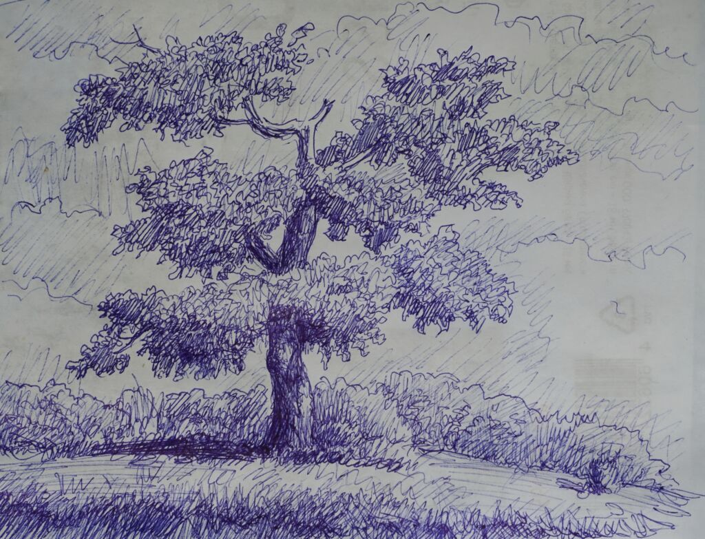 “Старое дерево”