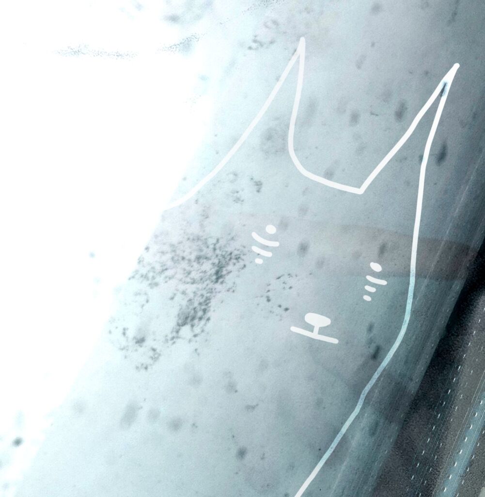 Обложка С Нуаром. РазводыПятен