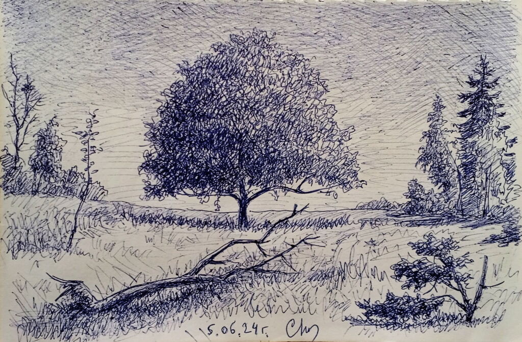 “Одинокое дерево”