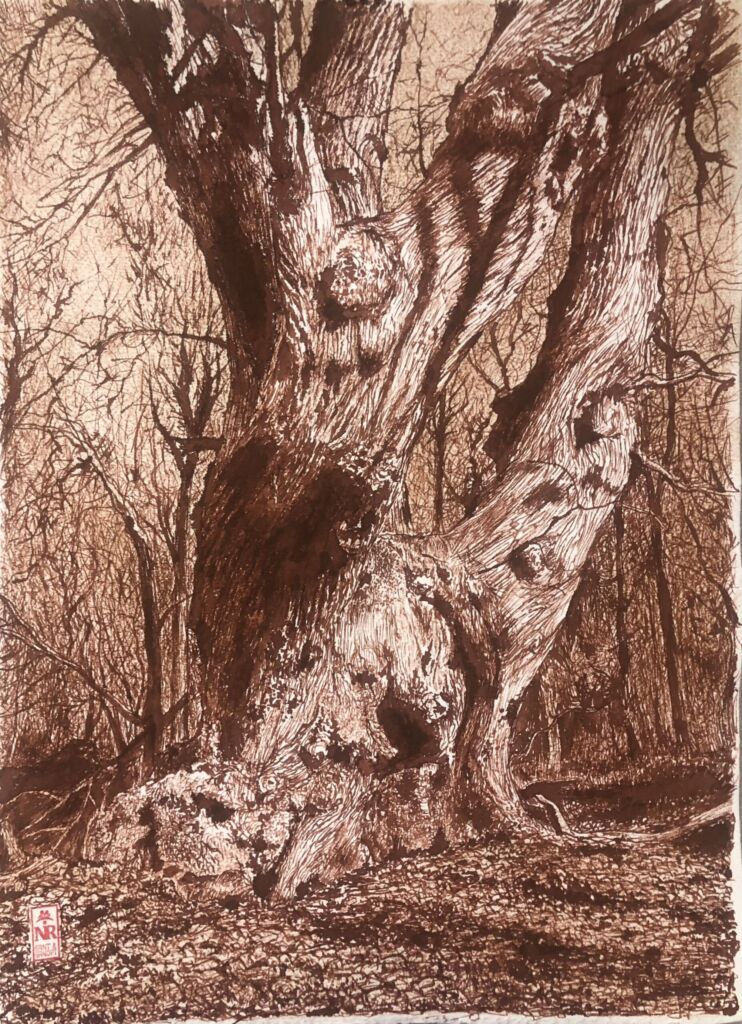 Старое дерево