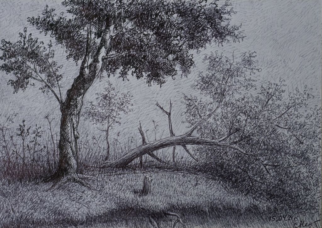 “У оврага”