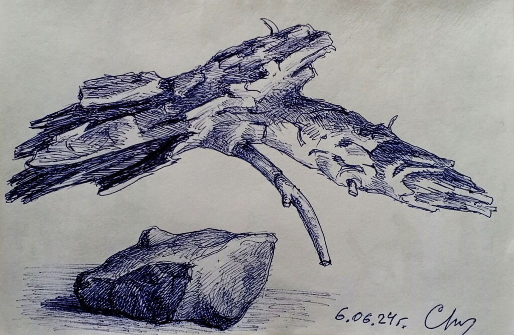 “Коряга и камень”