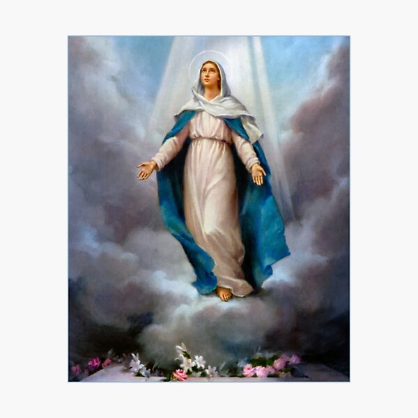 Цикл Santa Maria. СНЫ. ИЗБРАННОЕ.