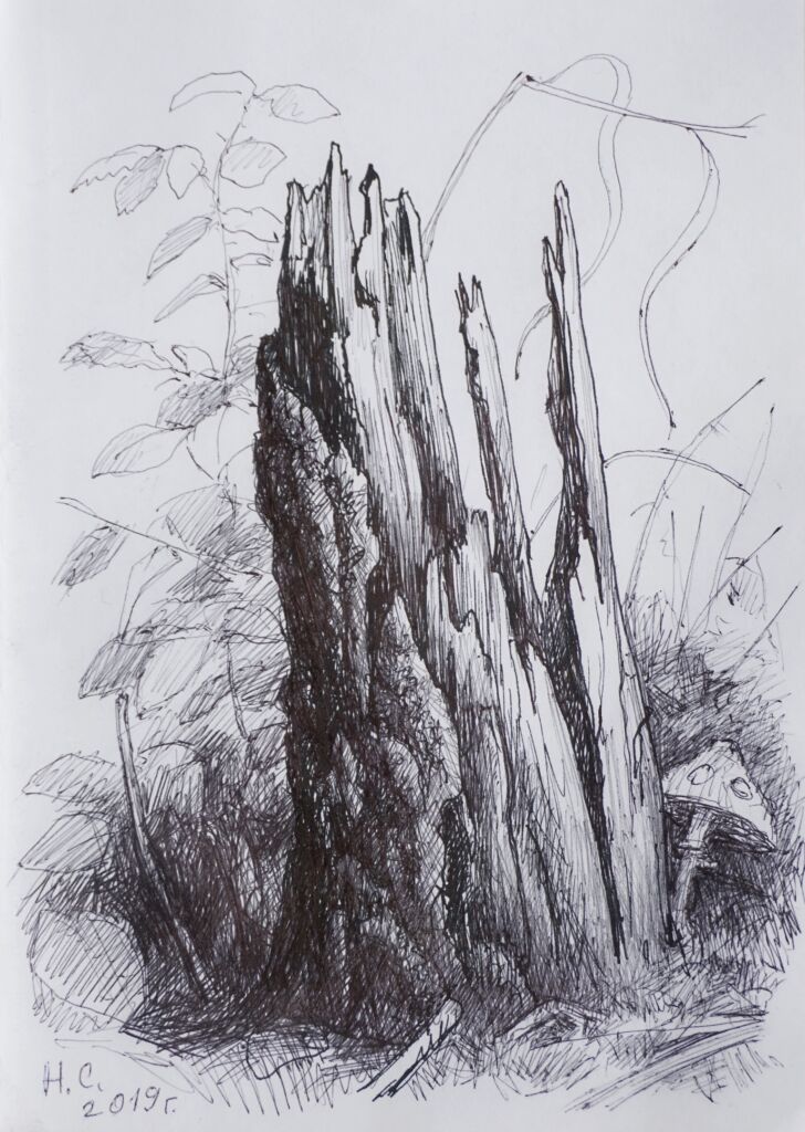 “Лесной пенёк”