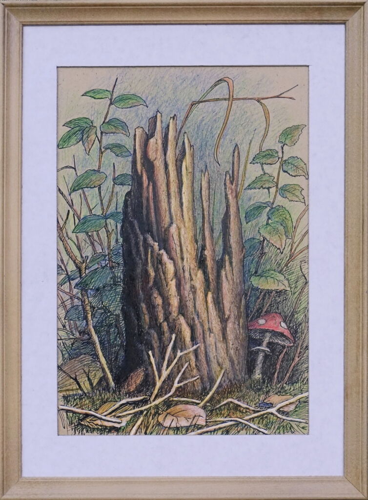 “Старый пень”