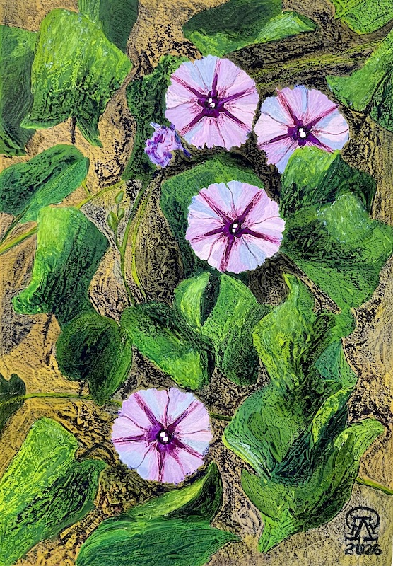 Фукуок. Ипомея.