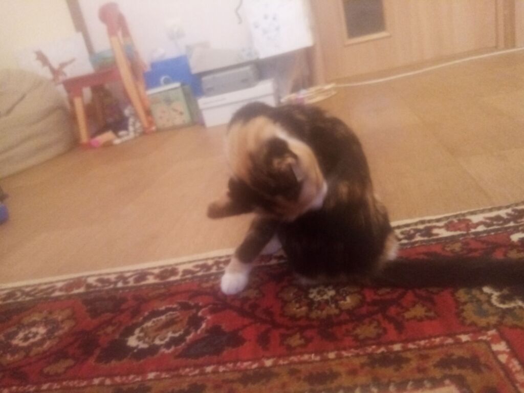 Ласка и Томас.