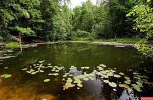 СМУГЛЯНКА
