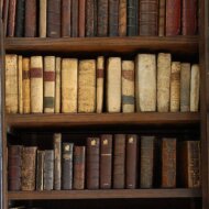 Шкаф полон дум