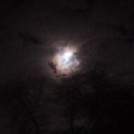 Девочка с луны